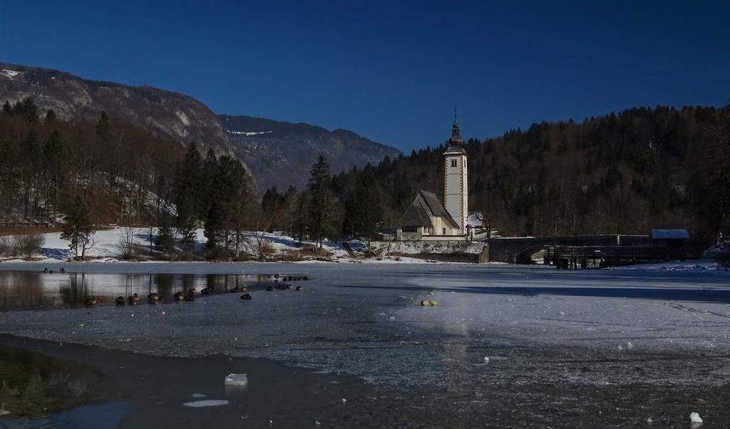 Apartments Zorc Bohinj Exterior foto